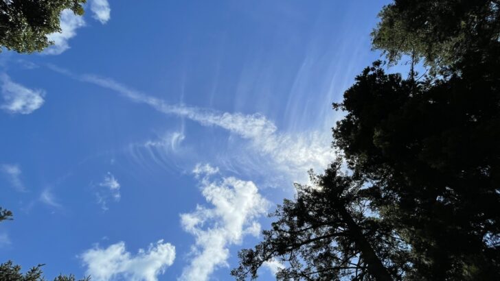 龍雲(龍神雲)を見たら意味するスピリチュアルなこと。|空と君との間には。